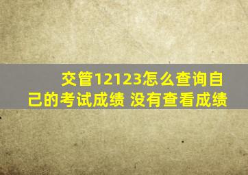 交管12123怎么查询自己的考试成绩 没有查看成绩